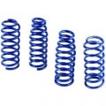 2007-2008 SVT Mustang Lowering Springs